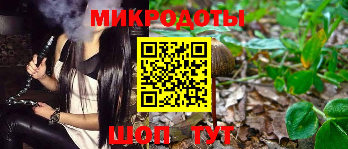Галлюциногенные грибы GOLDEN TEACHER  Вход с VPN  Галлюциногенные грибы прущие грибы  Заволжье 