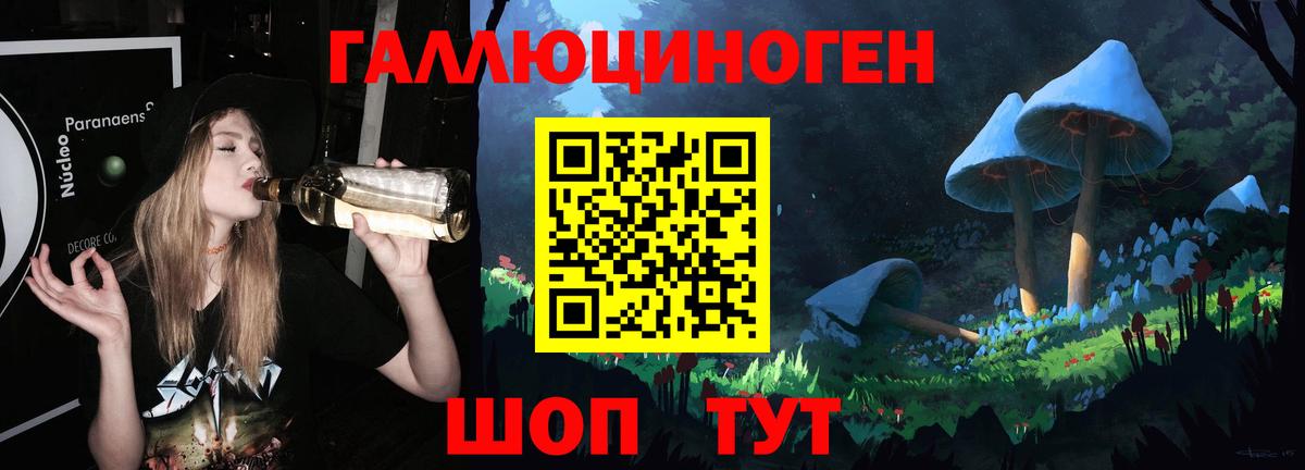 Псилоцибиновые грибы Psilocybe Заволжье